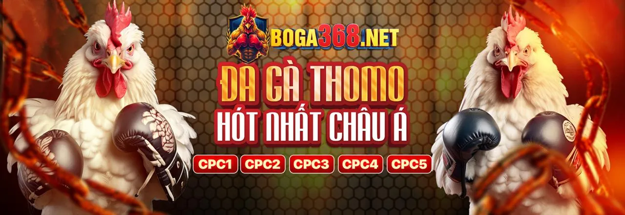 Nền tảng cá cược an toàn và đa dạng 88v